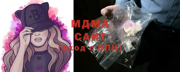 индика Мегион