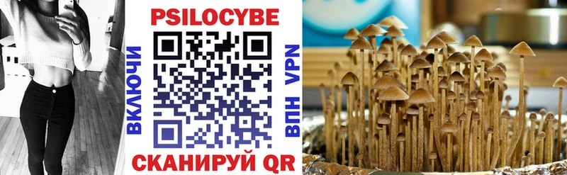 Псилоцибиновые грибы GOLDEN TEACHER Алагир